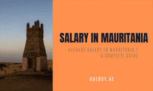 Average Salary in Mauritania